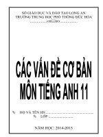 Các vấn đề cơ bản tiếng anh 11