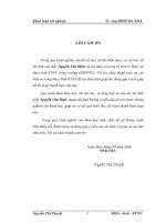 Nghiên cứu một số chỉ tiêu sinh lý và năng suất của hai giống cải củ Hà Nội và Trung Quốc dưới ảnh hưởng của các công thức bón phân