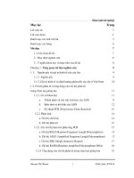 Nghiên cứu mối tương quan di truyền của các dòng lúa đột biến chất lượng bằng chỉ thị phân tử