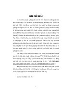 Tiểu luận cổ phần hoá doanh nghiệp nhà nước công ty cổ phần đồ hộp hạ long