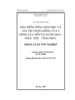 Đặc điểm nông sinh học và giá trị chọn giống của 9 dòng lúa nếp tại Xuân Hoà huyện Phúc Yên tỉnh Vĩnh Phúc