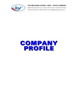 profile ins company thương hiệu