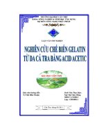 Nghiên cứu chế biến Gelatin từ da cá tra bằng Acid Acetic
