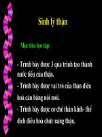 Bài giảng sinh lý thận