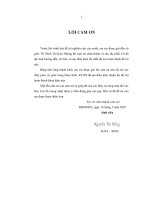 Tuyển chọn chủng nấm men, tìm điều kiện tối ưu cho quá trình lên men vang táo mèo