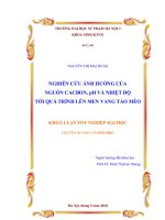 Nghiên cứu ảnh hưởng của nguồn cacbon, pH và nhiệt độ tới quá trình lên men vang táo mèo