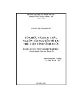 Tổ chức và khai thác nguồn tài nguyên số tại Thư viện tỉnh Vĩnh Phúc