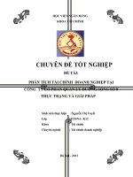 Phân tích tài chính doanh nghiệp tại công ty cổ phẩn quản lý đường sông số 8  thực trạng và giải pháp