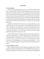 Tìm hiểu thực trạng hệ thống kênh phân phối tại Công ty TNHH Hải Ngọc