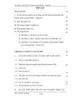 Tác động của vốn FDI đối với phát triển tỉnh Bà Rịa – Vũng Tàu ( báo cáo nghiên cứu khoa học)