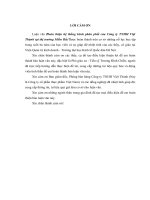 hoàn thiện hệ thống kênh phân phối của công ty tnhh việt thành tại thị trường miền bắc