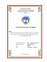 Hạn chế rủi ro trong hoạt động cho vay tại ngân hàng thương mại cổ phần công thương việt nam chi nhánh đông anh