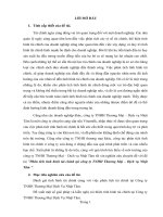 Phân tích tình hình tài chính tại công ty TNHH Thương Mại – Dịch vụ Nhật Tâm