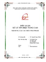 TIỂU LUẬN XỬ LÝ TÍN HIỆU NÂNG CAO CÁC CẤU TRÚC POLYPHASE