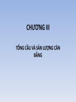 Chương 3: Tổng Cầu & Sản Lượng Cân Bằng (Kinh Tế Vĩ Mô)