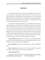 chiến lược marketing mix trong thương mại điện tử của công ty tnhh minh khai