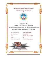 Hoàn thiện kế toán doanh thu, chi phí, kết quả kinh doanh tại Công ty cổ phần Thanh Bình H.T.C Việt Nam