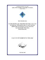 Sự sinh trưởng, đặc tính hình thái thực vật và sự ổn định đặc tính không hột của hai dòng quýt đường không hột ở giai đoạn cây ba năm tuổi tại thành phố vĩnh long, tỉnh vĩnh long