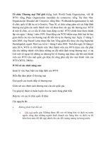 tìm hiểu về WTO và cơ hội thách thức của VN khi gia nhập WTO