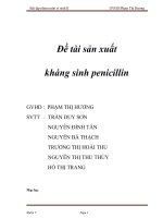 Đề tài sản xuất kháng sinh penicillin