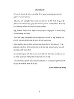 đồ án chi tiết máy: HGT phân đôi cấp nhanh