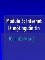 Kiến thức tin học cơ bản về internet cho người mới tiếp xúc