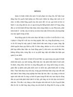 PHÂN TÍCH QUẢN LÝ HÀNH CHÍNH  TIỂU LUẬN QUẢN LÝ NHÀ NƯỚC