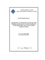 Ảnh hưởng của phân bùn ao lên sự sinh trưởng, năng suất và chất lượng xà lách trong mùa mưa tại cần thơ