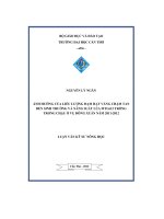 Ảnh hưởng của liều lượng đạm hạt vàng chậm tan đến sinh trưởng và năng suất lúa MTL612 trồng trong chậu ở vụ đông xuân năm 2011   2012