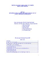 Tiểu luận: Mô hình công nghệ liên hợp trong xử lý chất thải rắn sinh hoạt