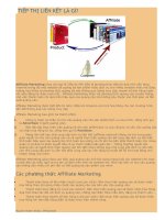 tiếp thị liên kết là gì