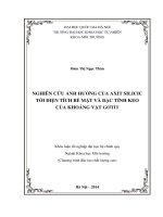 Ảnh hưởng của axit silicic tới đặc tính bề mặt và điện tích của gơ tít