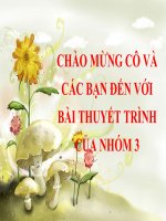 CHƯƠNG 4: ĐƯỜNG LỐI CÔNG NGHIỆP HÓA