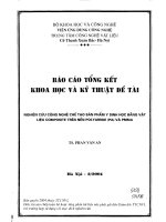 Nghiên cứu công nghệ chế tạo sản phẩm y sinh học bằng vật liệu composite trên nền polyamide (PA) và PMMA