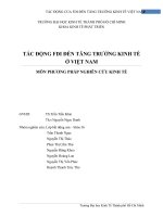 Tiểu luận tác động của FDI đến tăng trưởng kinh tế ở việt nam