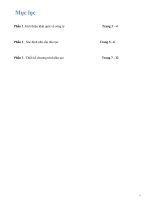 Tổ chức và đào tạo nguồn nhân lực công ty Star Fun