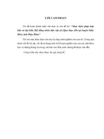 Thực hiện pháp luật bầu cử đại biểu hội đồng nhân dân cấp xã (qua thực tiễn tại huyện điện biên, tỉnh điện biên)