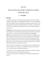 Đề tài phát hành trái phiếu, kênh huy động vốn hiệu quả 2