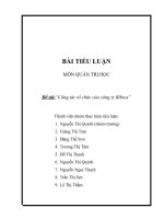 tiêu luận môn quản trị học  công tác tổ chức công ti bibica