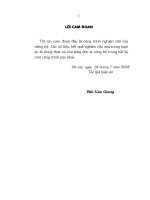 Đánh giá giá trị của các phương pháp điện quang can thiệp trong điều trị thông động mạch cảnh   xoang hang