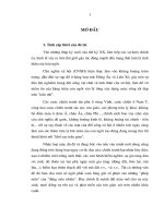 Điều kiện tồn tại của Phật Giáo Việt Nam hiện nay (Qua một số tỉnh đồng bằng Bắc Bộ)