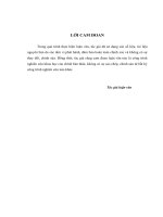 giải pháp nâng cao năng lực tài chính của công ty cổ phần everpia việt nam