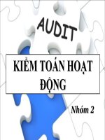 Tiêu chuẩn để đánh giá hoạt động được kiểm toán