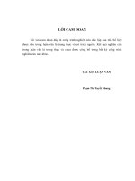 luận văn thạc sĩ hoàn thiện phân tích báo cáo tài chính tại tổng công ty thép việt nam