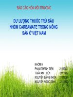 Báo cáo hóa môi trường dư lượng thuốc trừ sâu nhóm carbamate trong nông sản ở việt nam