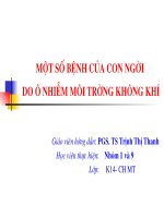 Một số bệnh của con người do ô nhiễm không khí