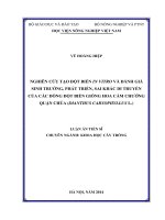 Nghiên cứu tạo đột biến in vitro và đánh giá sinh trưởng, phát triển, sai khác di truyền của các dòng đột biến giống hoa cẩm chướng quận chúa