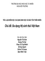 Tiểu luận đa dạng sinh học: Đa dạng hệ sinh thái tại Việt Nam