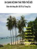 Tiểu luận đa dạng sinh học: Đa dang hệ sinh thái trên thế giới