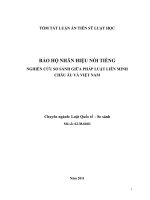NGHIÊN CỨU SO SÁNH GIỮA PHÁP LUẬT LIÊN MINH  CHÂU ÂU VÀ VIỆT NAM VÀ BẢO HỘ NHÃN HIỆU NỔI TIẾNG